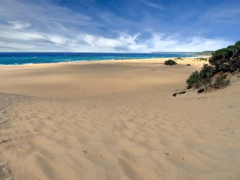 דירה Appartamento - Costa Verde - Marina Di Arbus - Iun P5515